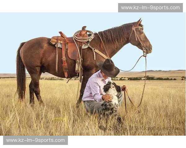 集锦马术：与马同行的精致生活